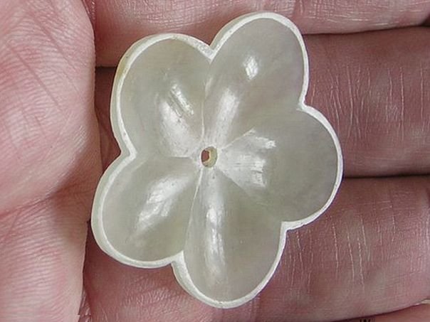 Flower 394 - (4956)
